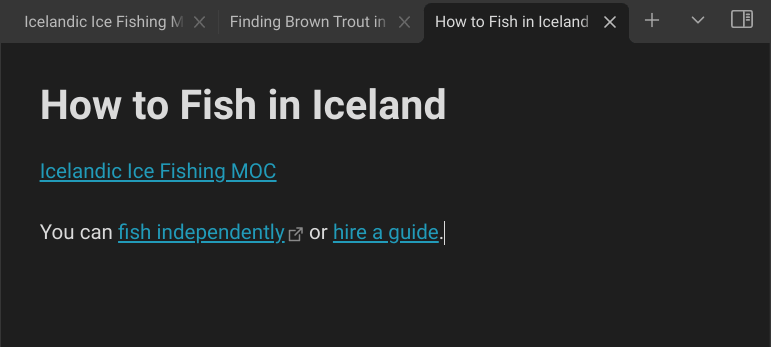 A guide to fishing in Iceland, with a link to the MOC.